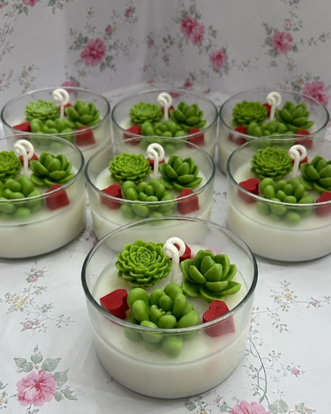 Velas terrario